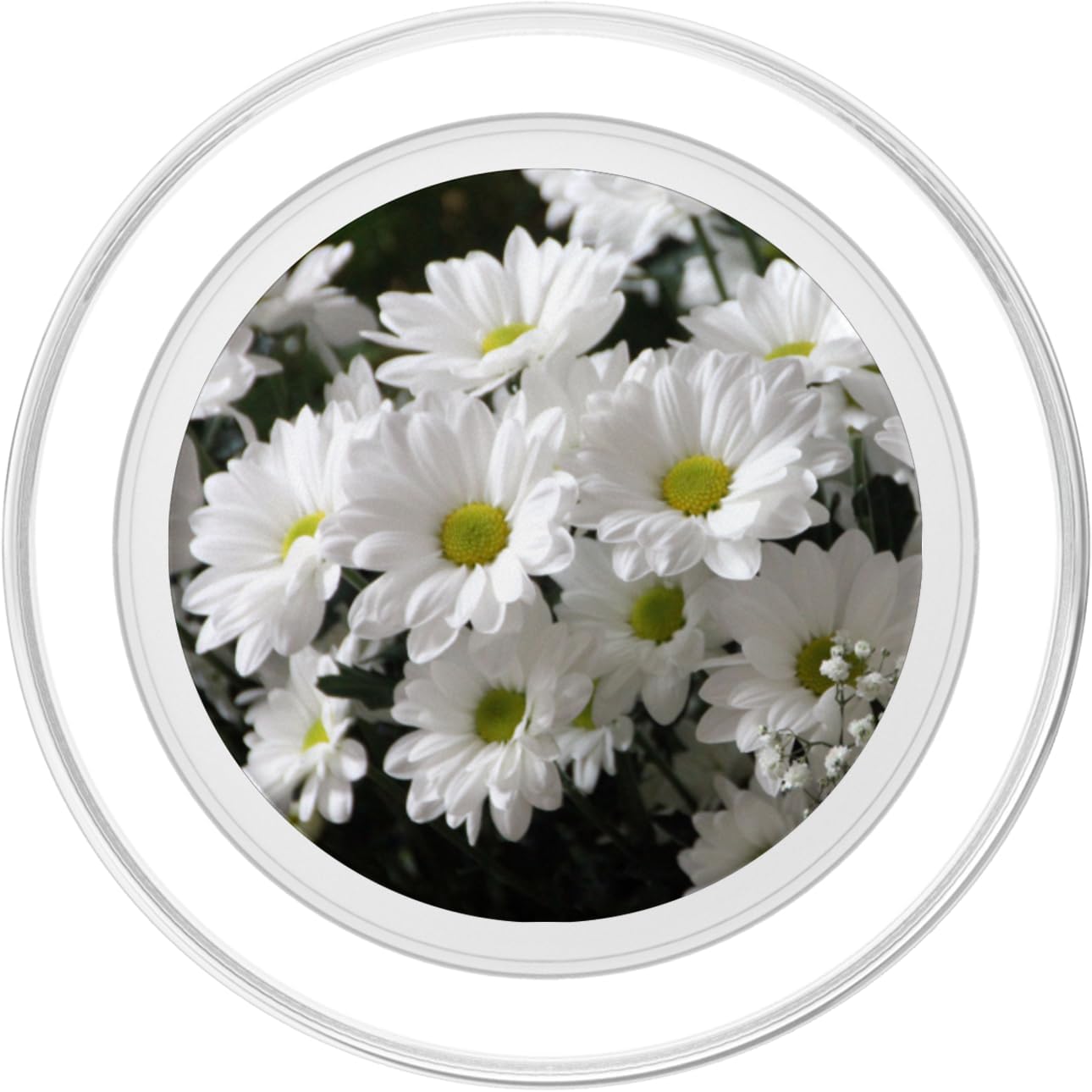 Pretty Awesome White Daisy Flowers PopSockets MagSafe PopGrip for iPhone