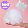 100g Stuffing for Crochet, Polyester Polyfill Stuffing Fiberfill Cotton Stuffing for Crafts Small Stuffed Animals Crochet, Polyfill Stuffing for Pillow Cushion Craft /0.22lb