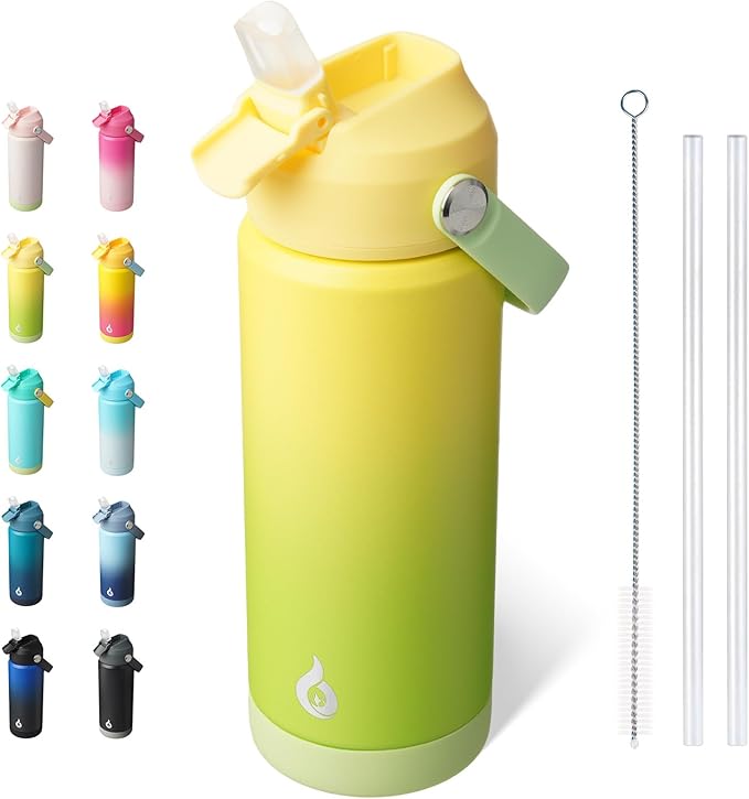 BJPKPK Insulated Water Bottle with Straw Lid, 18oz Thermos Water Bottles, Flex H