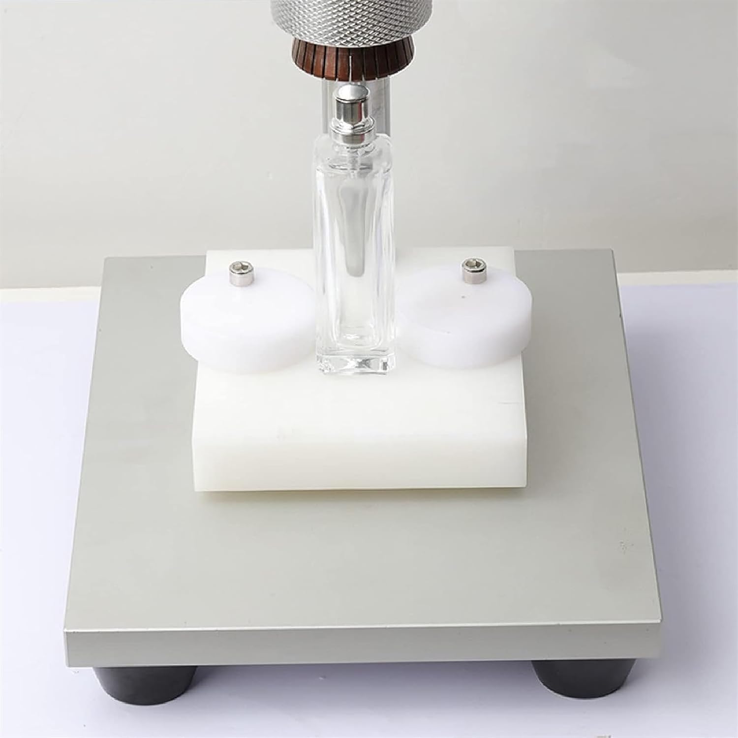 マダガスカルのドクバッタ　立体標本 マダガスカルのドクバッタ 立体標本 マダガスカルを襲うバッタについて