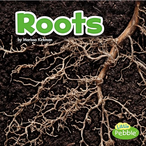 Roots by Marissa Kirkman episode artwork
