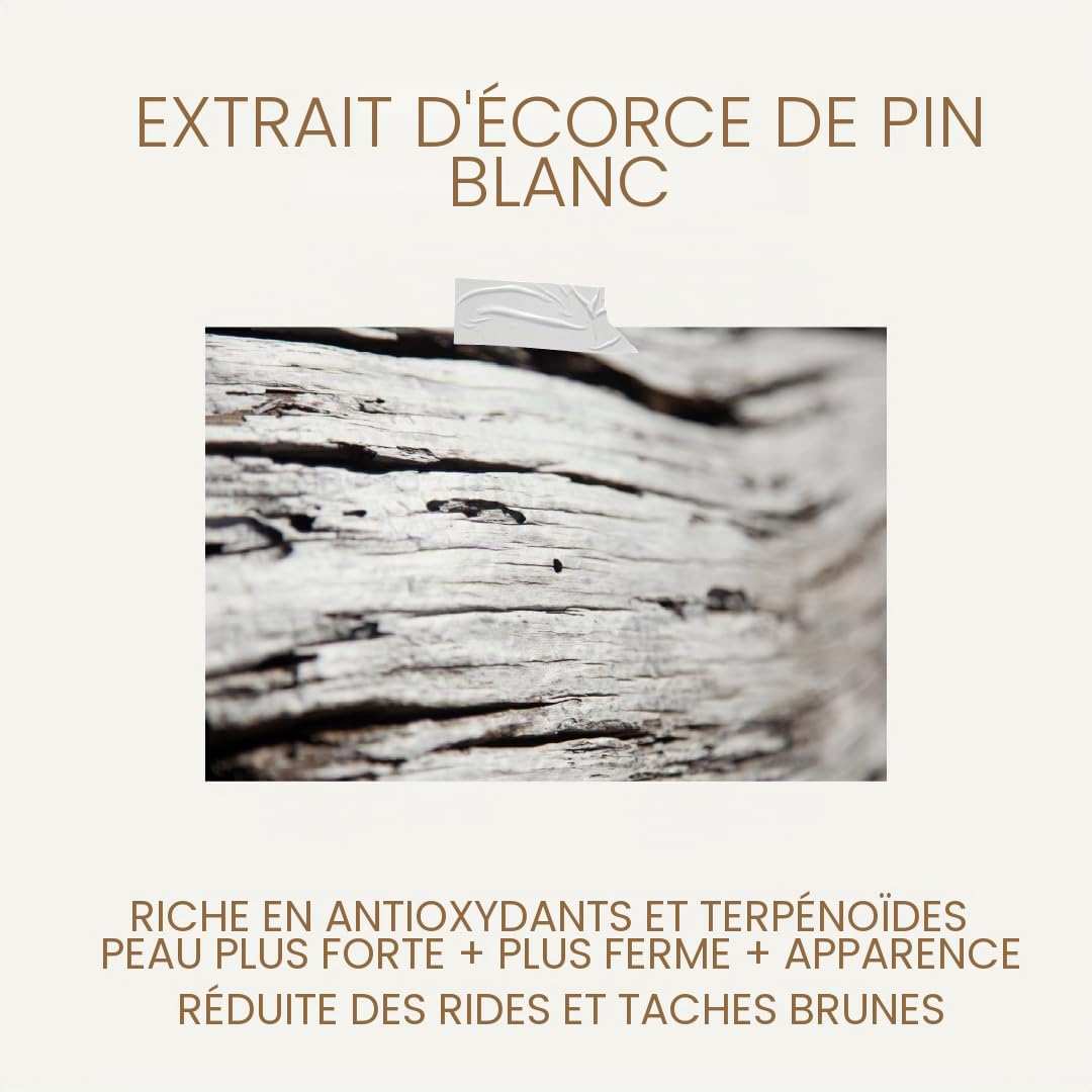 KORRES White Pine Meno Reverse Crème de nuit régénérante pour peaux matures après la ménopause, testée dermatologiquement, végétalien, 40 ml
