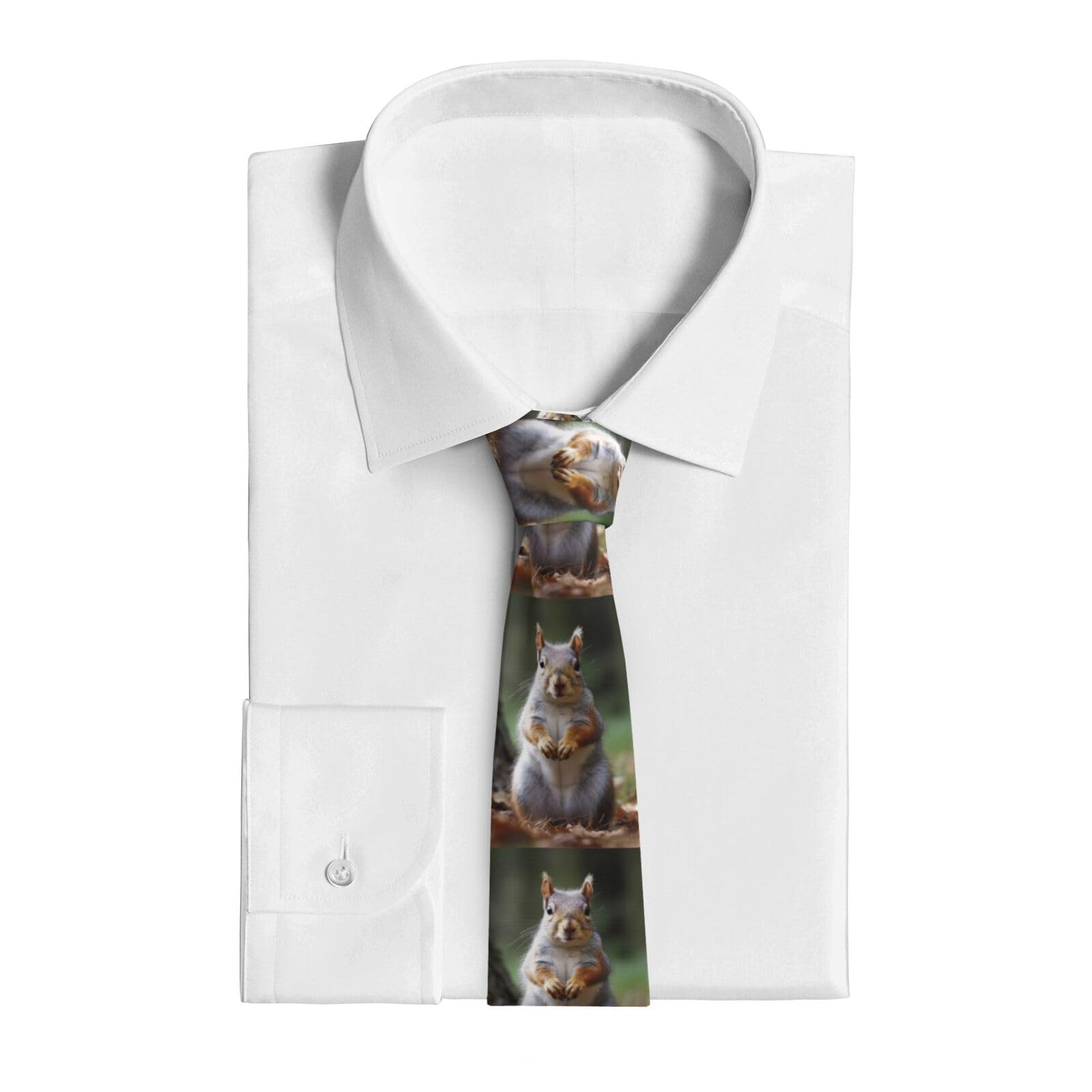 VducK Neckties for Men Business Casual Necktie Men Squirrel Ties for Weddings Dances Neck Tie for Men