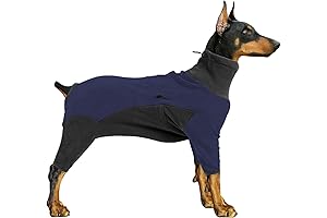 Warmth and Comfort: Dog Winter Coat, a Haven for Your Canine Companion