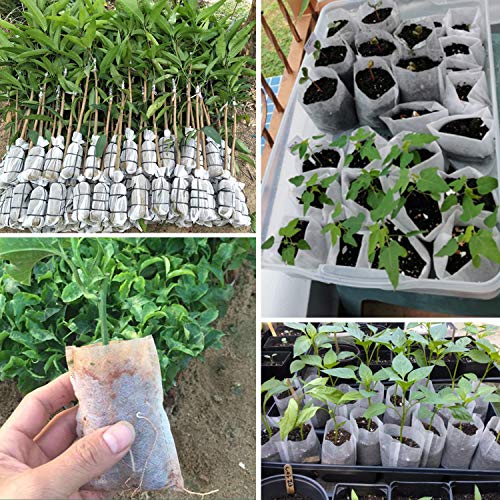 Sacos de berçário não tecido, EnPoint 200 peças, plantador de tecido de 12,7 x 15 cm para plantas, m