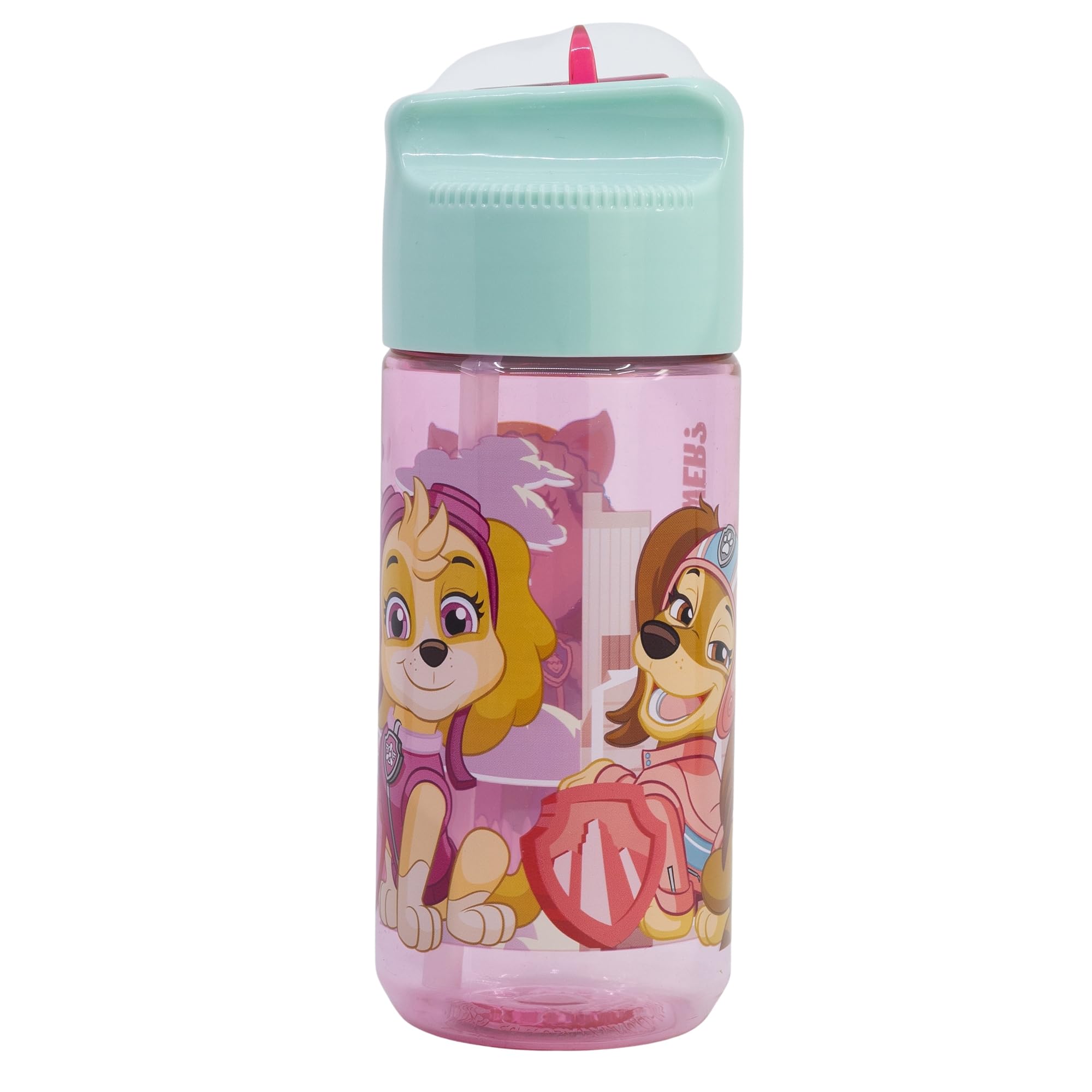 ECOZEN HIDRO SMALL BOTTLE 430 ML PAW PATROL GIRL SUPERPOWERS