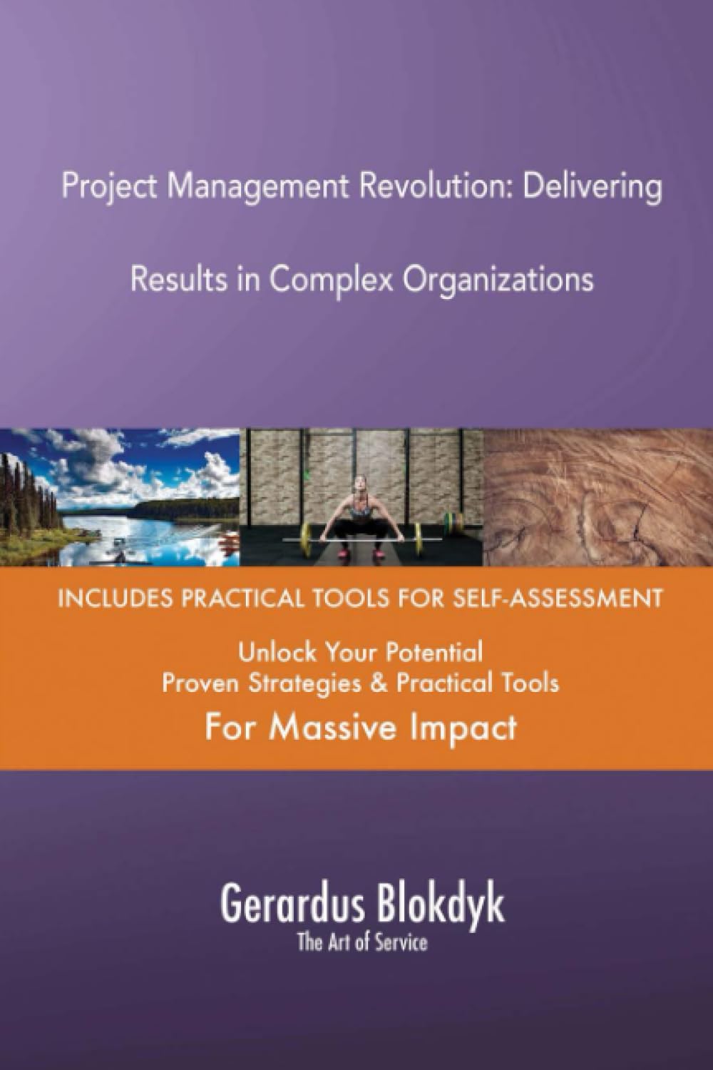 Project Management Revolution: Delivering Results in Complex Organizations
