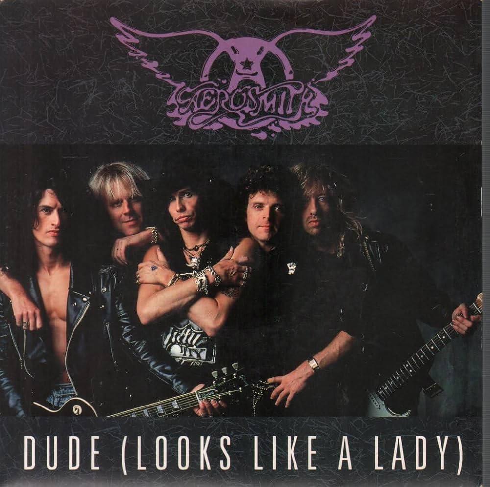 洋楽 Aerosmith Dude (Looks Like A Lady) Aerosmith Dude (Looks Like A Lady) / Monkey On My Back