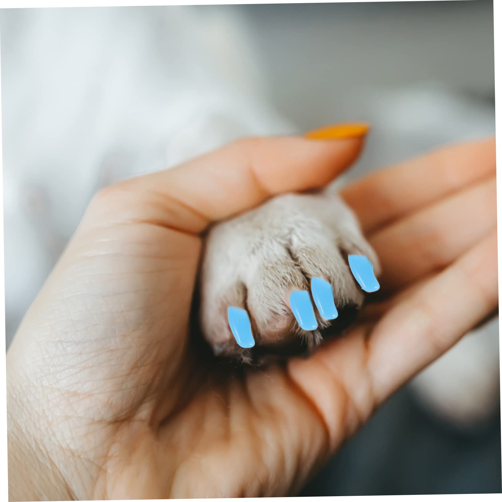 Mipcase 40sätze Pet Nail Covers Für Katzen Und Hunde Teiliges Aus Langlebigem Silikon Für Krallenschutz Und Möbelbewahrung Einfach Und Sicher Zu Tragen