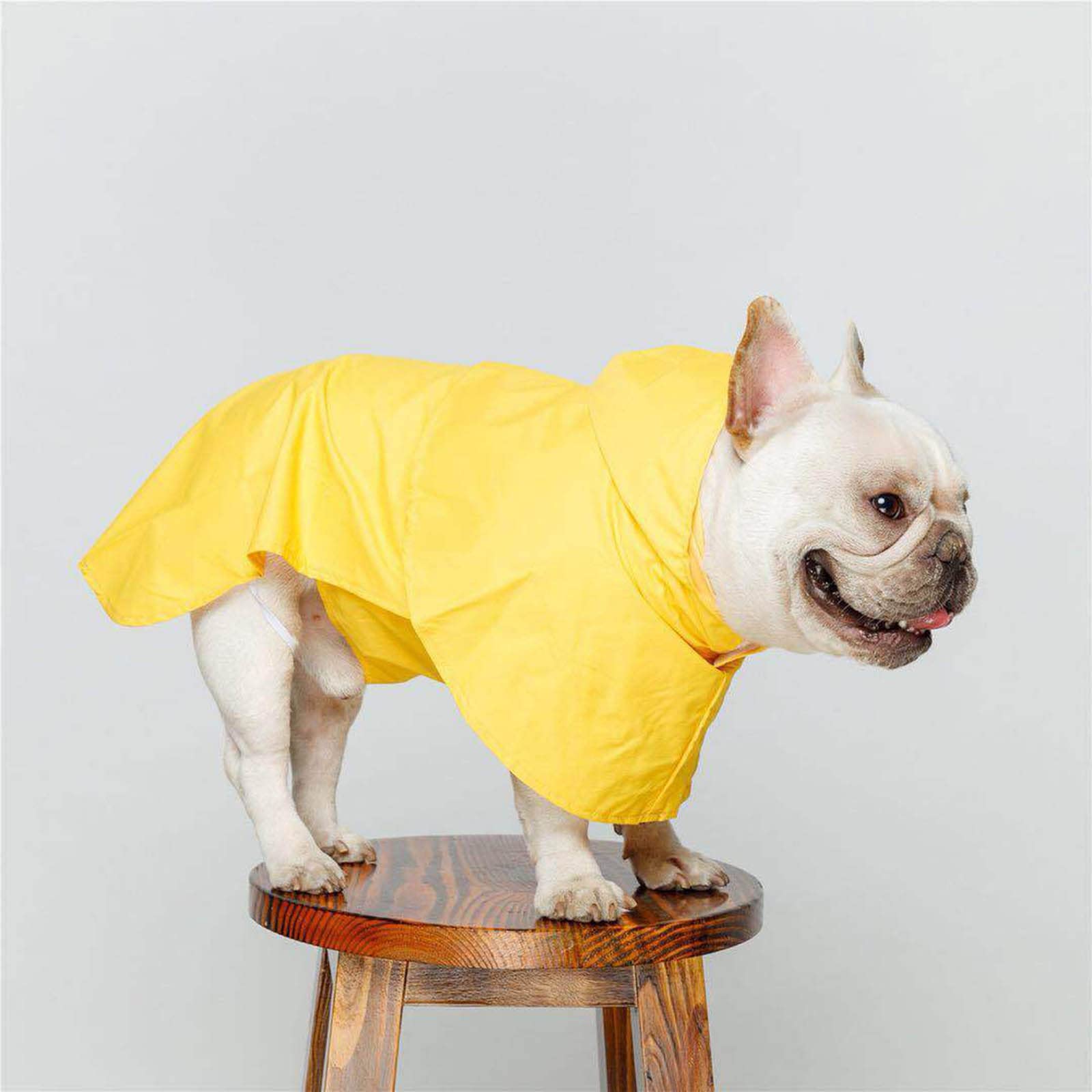 Hund Regenmantel wasserdichte Hundemanteljacke, Hunderegenmäntel, klein, mit Kapuze, Haustier-Regenumhang mit Kapuze, langlebig, regenfest