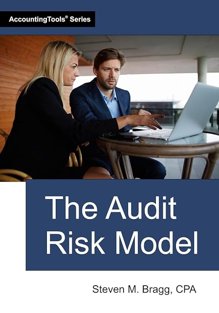 Portada de The Audit Risk Model