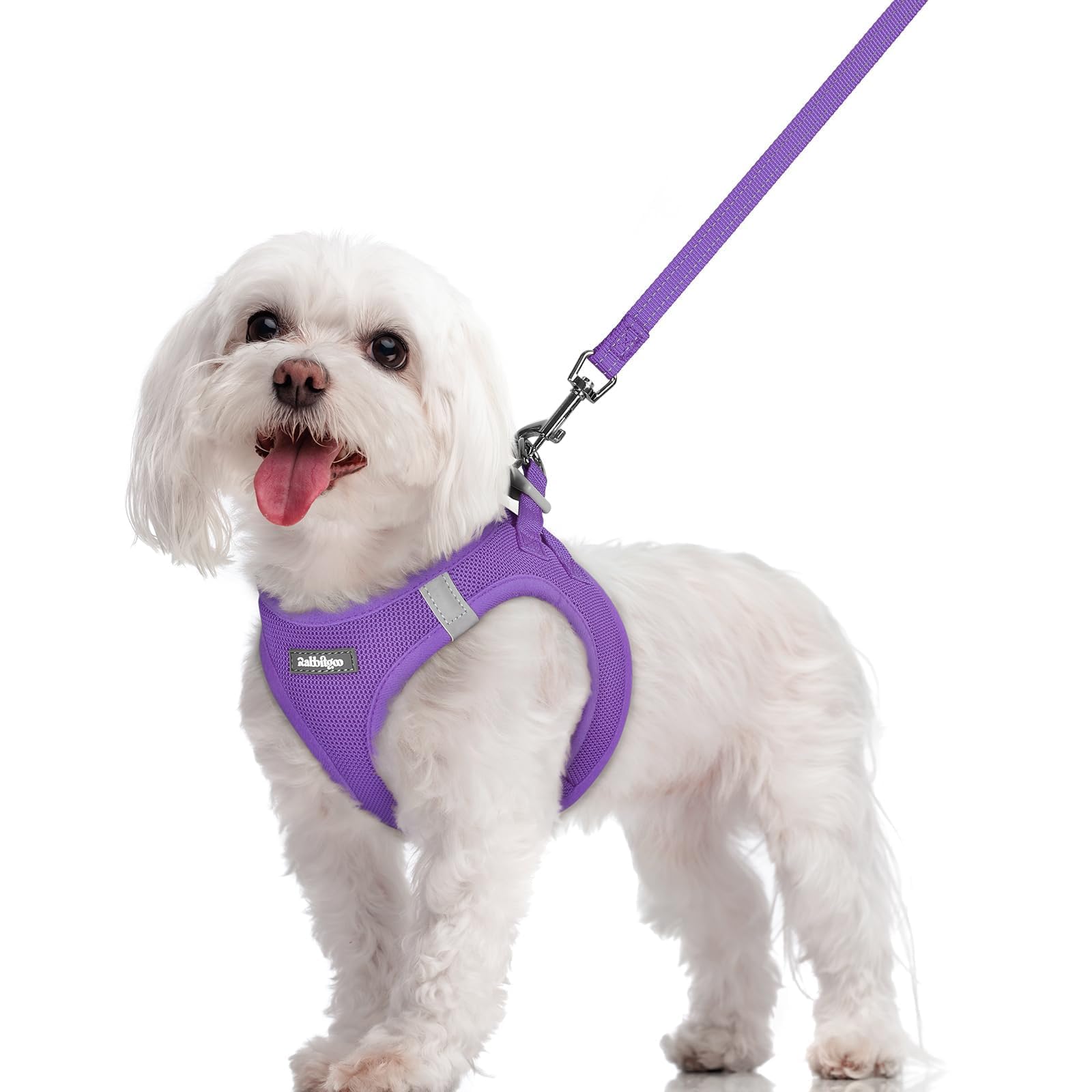 rabbitgoo Dog Harness Small Dog and Leash Set, Step-in Soft Mesh Puppy Harness with Reflective Strips, Lightweight Breathable Pet Vest for Walking Training, Purple, M