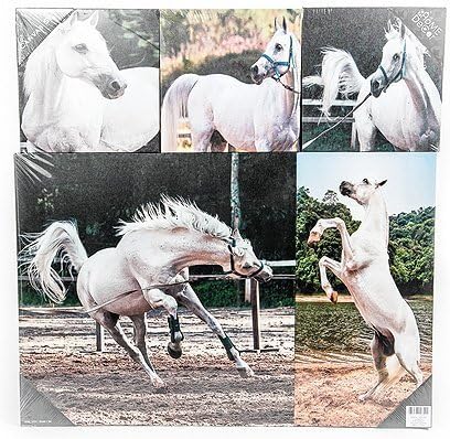 Wall Decor Paintings on Canvas Stretched and Framed Ready to Hang, 5 Pieces(Horses)