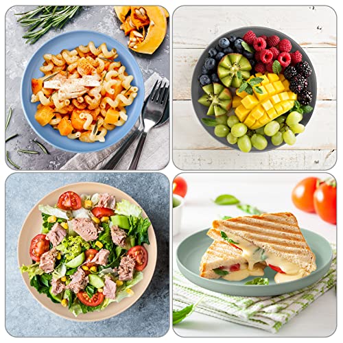 Foaincore 10 Pcs Bamboo Plates Reusable Bamboo Toddler Plates Dinnerware Safe Dinner Plates 4 Color Kids Plates, Adults And Toddler Utensils For Home, Outdoor Picnic, Party Use #TOP3