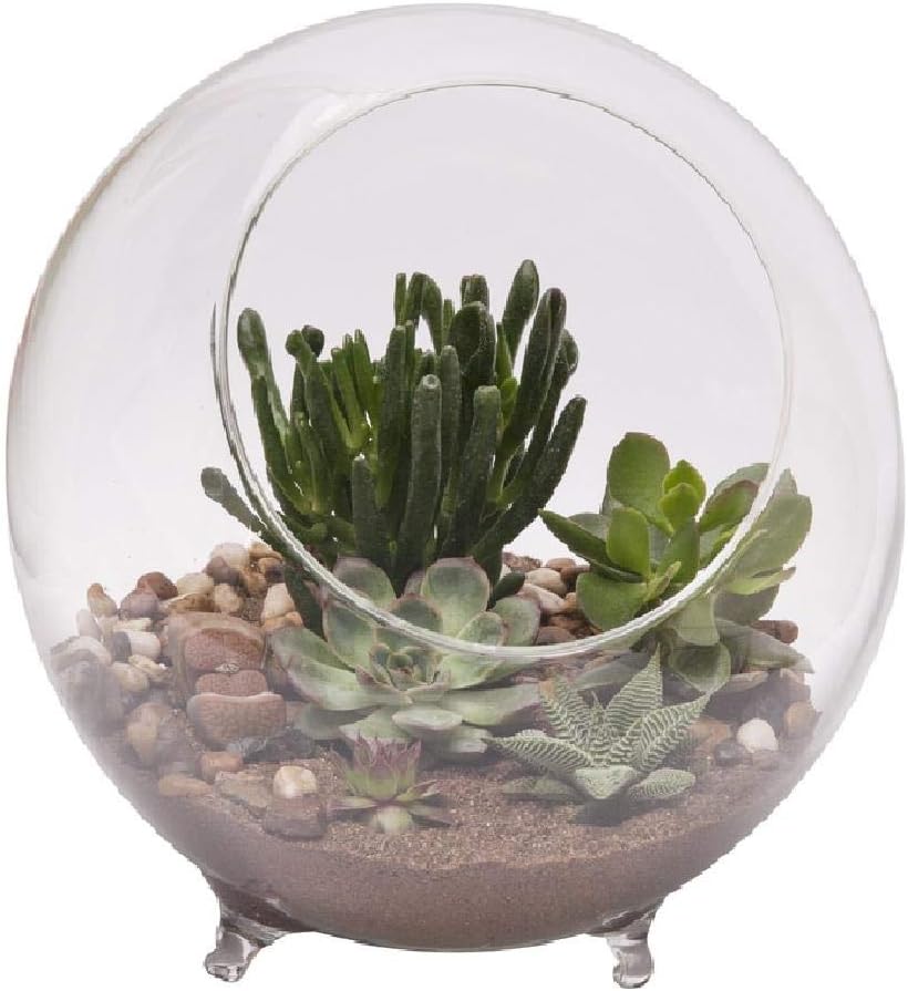 Panacea Terrarium W/FEET 10.25 D