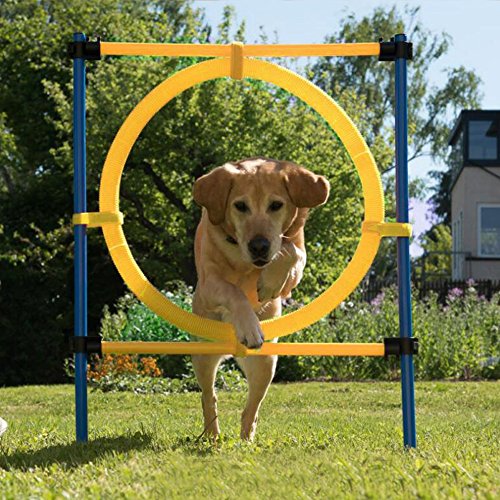 Pawise Dog Training Exercise Equipment,Dog Agility Training Equipment,Dog Jump Ring Outdoor,Playground Equipment Outdoor #TOP6