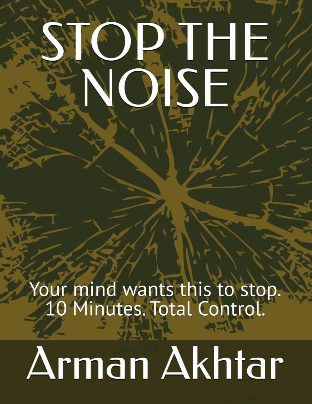 STOP THE NOISE: The 10-Minute Reset System to Silence Overthinking, Regain Control, and Calm an Overloaded Mind: 2 (STOP THE NOISE SYSTEM)