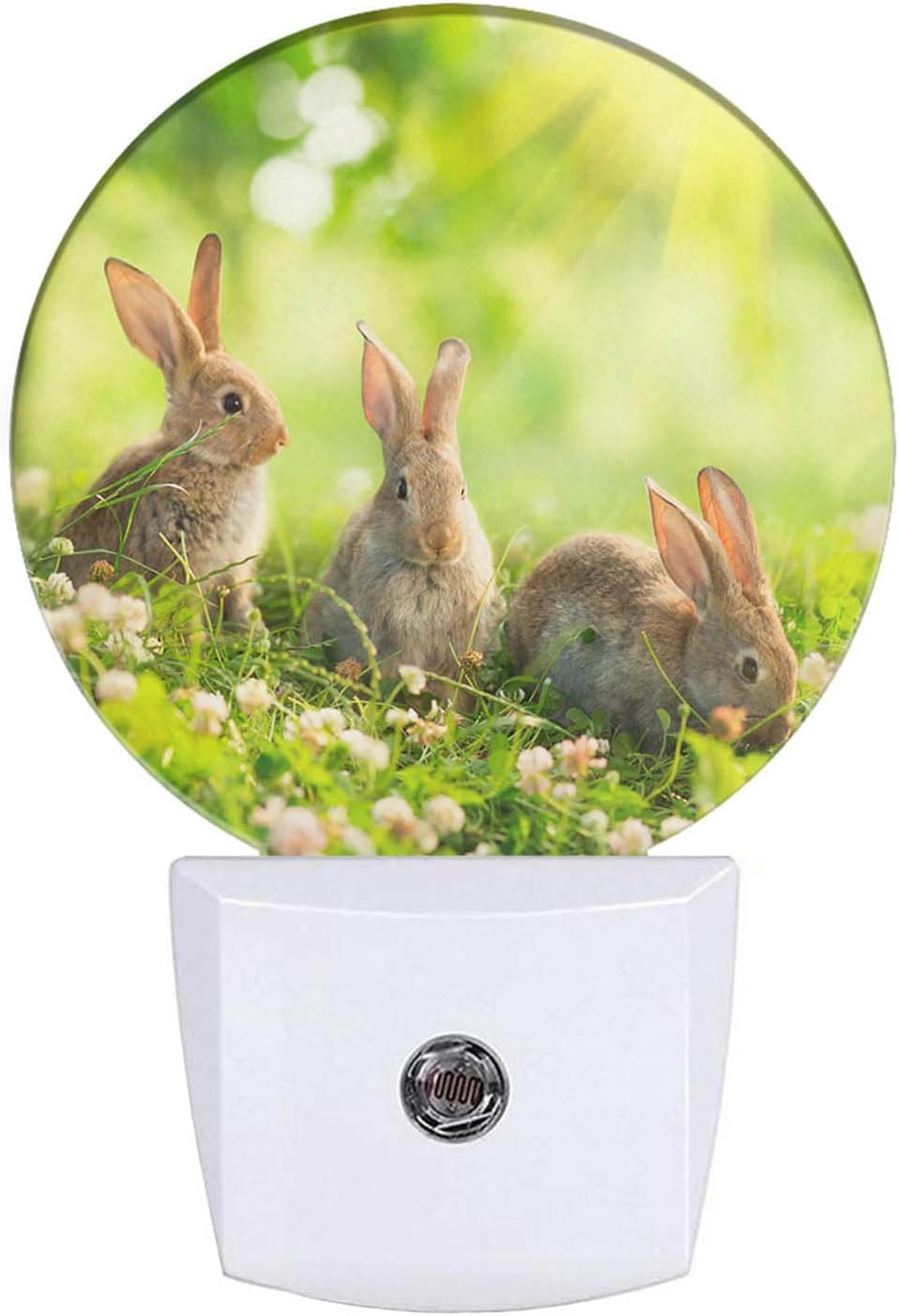 Uanvaha Easter Bunny Nightlight Cute Rabbits in Meadow Plug in Night ...