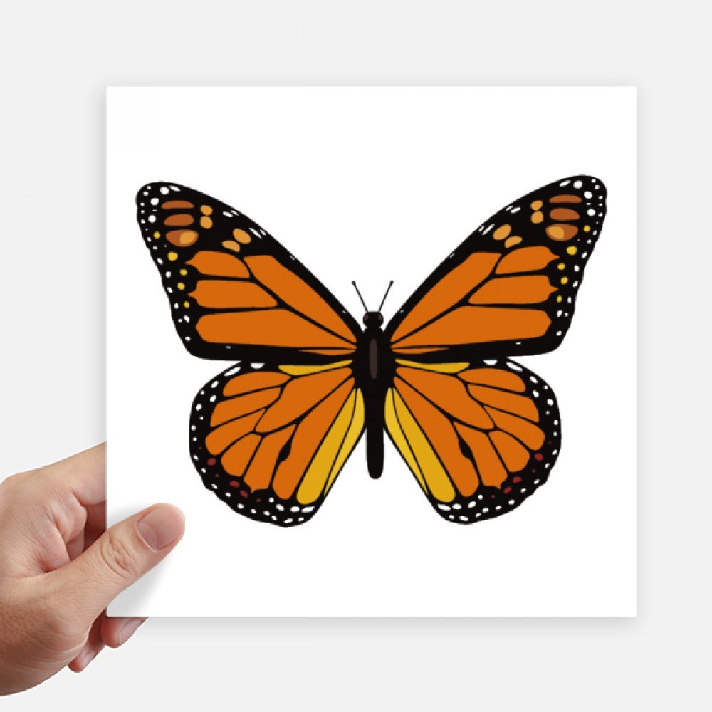 Espécimen de la mariposa pegatinas pared maleta portátil decoración 20x20cm