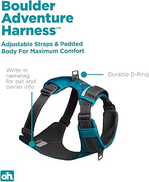 Outward Hound Boulder Adventure Adjustable Dog Harness with Pockets, Turquoise, Medium