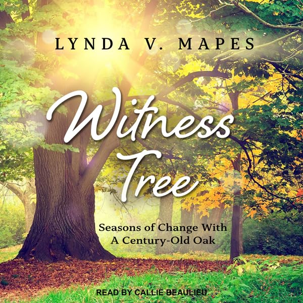 Cover art for Witness Tree