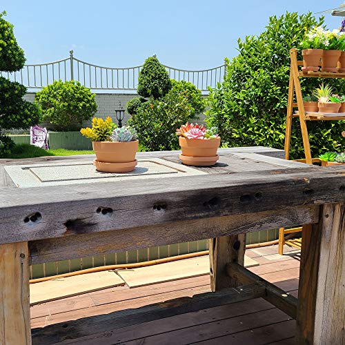 Yishang 6 Inch Terracotta Shallow Planters With Saucer/Tray,Ceramic Flower Clay Plant Pots With Drainage Hole,Unglazed Cactus/Succlent Plant Containers Indoor Garden Bonsai Pots #TOP4