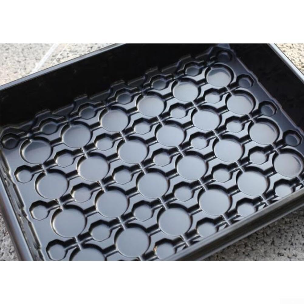 Vassoio Crescita Piante 36cm per Talee Succulente