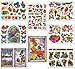 Nature Window Clings Butterflies Birds Flowers Fish Endangered Animals
