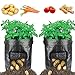 HYRIXDIRECT 2 Pack 10 Gallon Black Grow Bags Portable Potato Growing Bag Planter Bags Planting Pouch with Handles Access Flap for Carrot Onion Vegetables