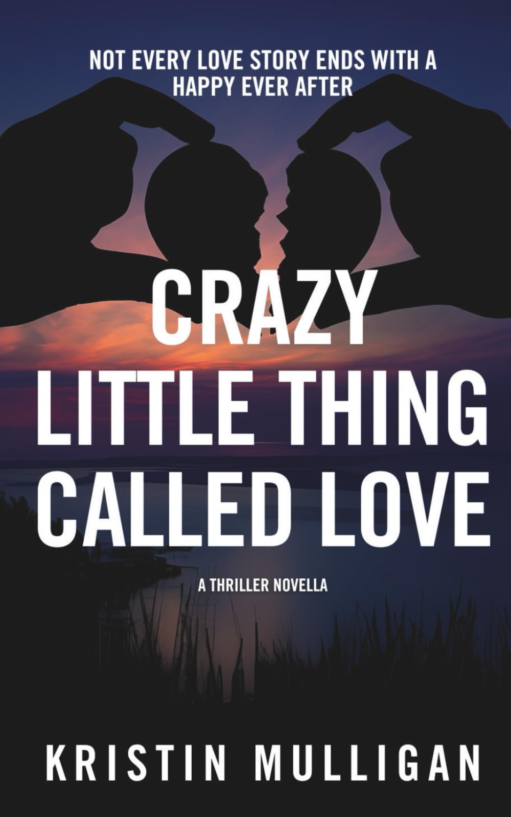 Crazy Little Thing Called Love: A Thriller Novella (Holidays & Homicide)