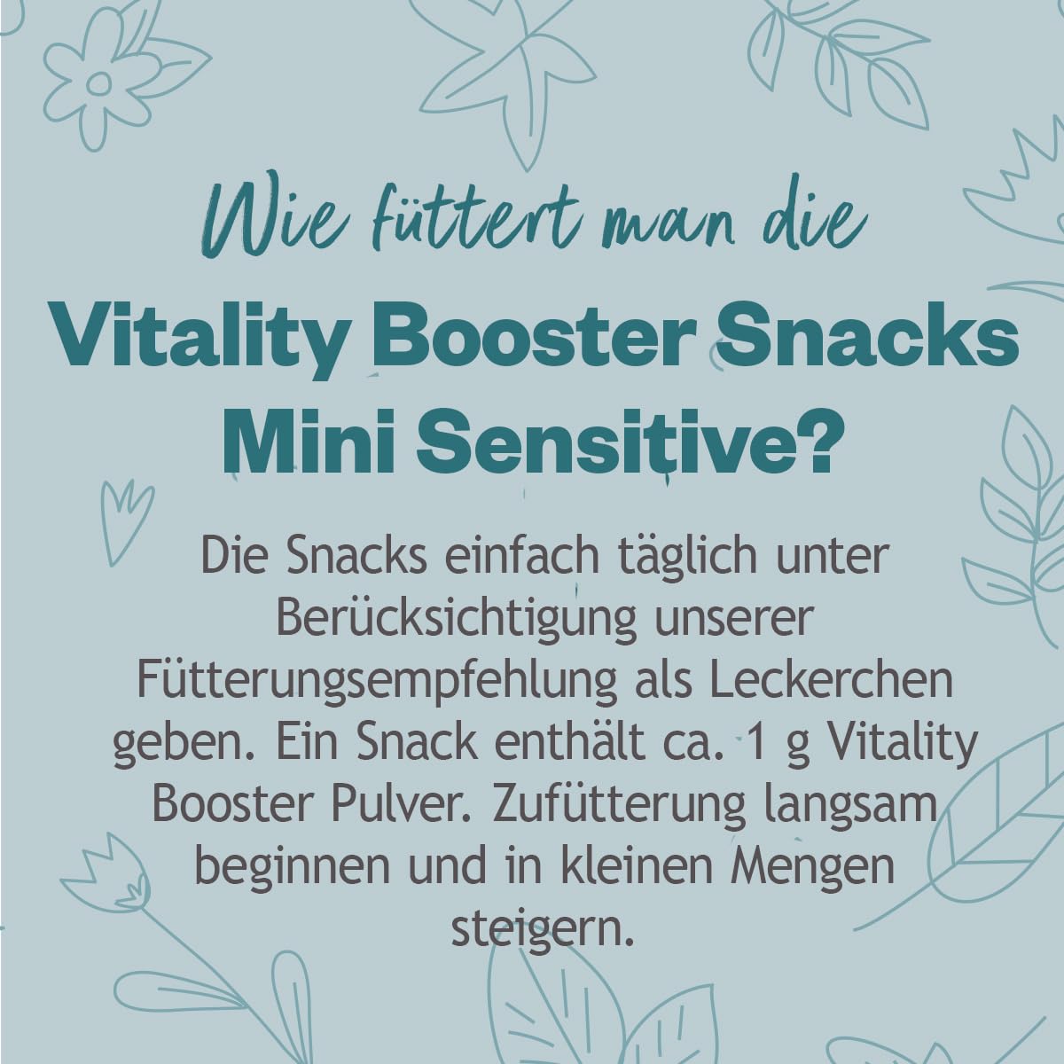 Grau - das Original - GRAU - Hokamix Vitality Booster Snack Mini Sensitive, 1er Pack (1 x 2,25kg), Ergänzungsfuttermittel für Hunde