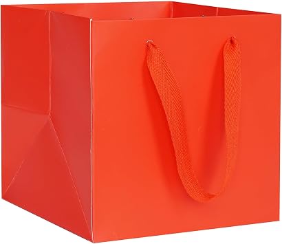 AZOWA Red Kraft Paper Gift Bag Small Square Gift Bags with Handle Party Gift Paper Bags 15 x 15 x 15 cm Pack of 10
