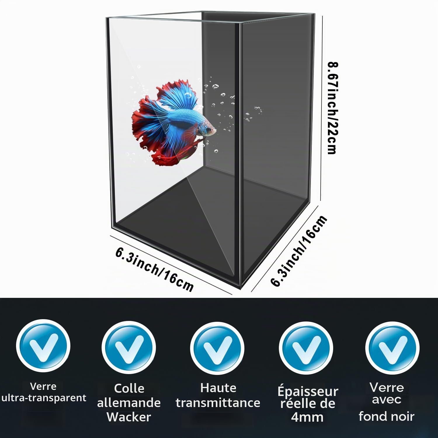 Kit de démarrage en Verre pour Aquarium Betta Petit Aquarium avec lumière LED, Filtre d'alimentation, Noir. Verre de 4 mm