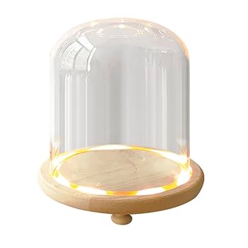 Amazon.co.jp: starink 透明ガラスドーム LED付き コレクション