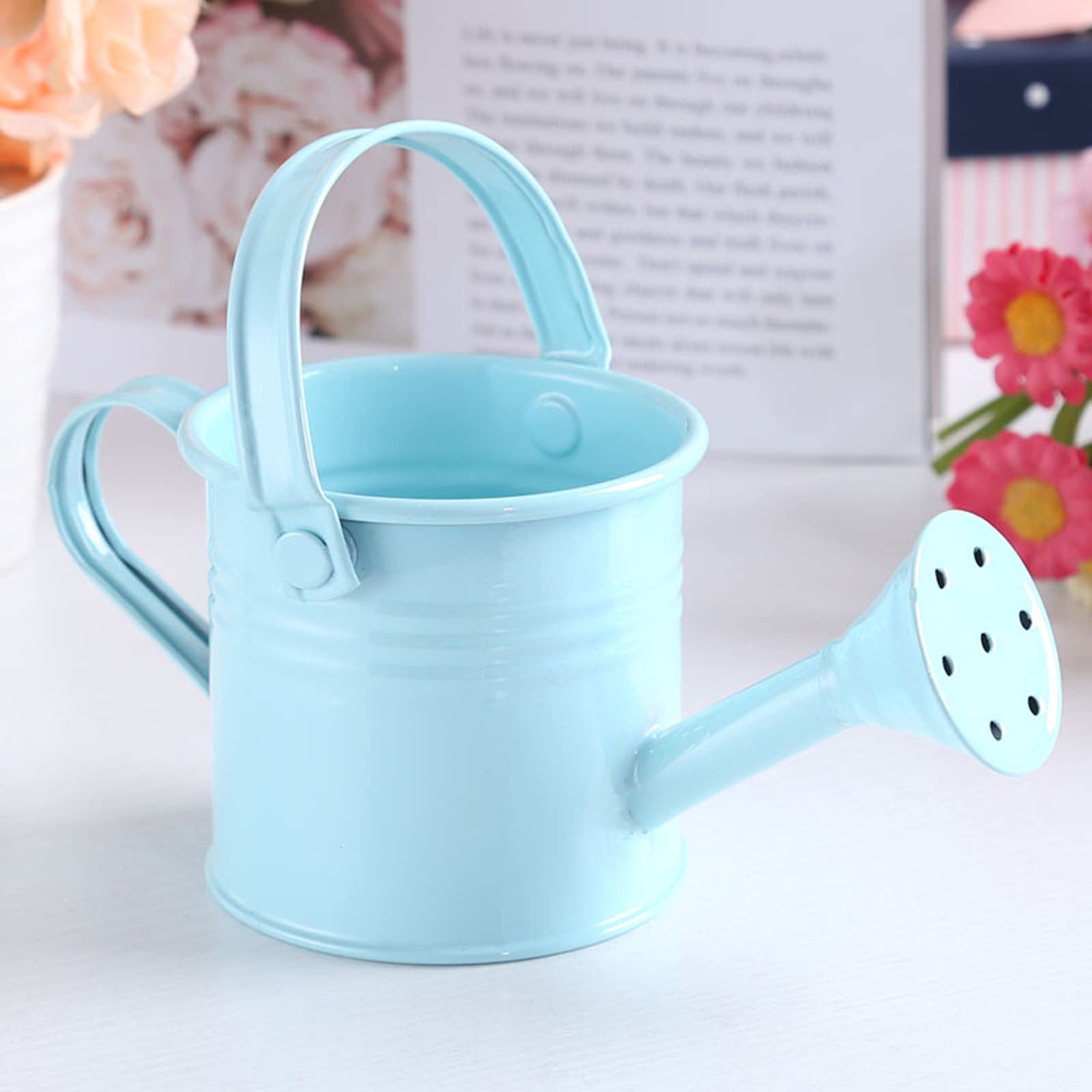 Attrezzi da giardinaggio per annaffiatoio in plastica da 500 ml azzurro