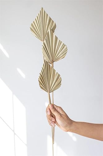 Miniatura 3 de Hojas de palma secas, 10 unidades, abanicos pequeños y naturales bohemios con tallo Lanzas de palma reales a granel para jarrón, boda, fiesta