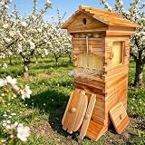 ExoticaBlend Bienenstock-Starterset,Selbstfließender Honigstock Mit Sichtfenster Und Honigdüse,Kompletter Hölzerner Bienenstock Mit 4 Bienenrahmen Und 6 Honigwaben