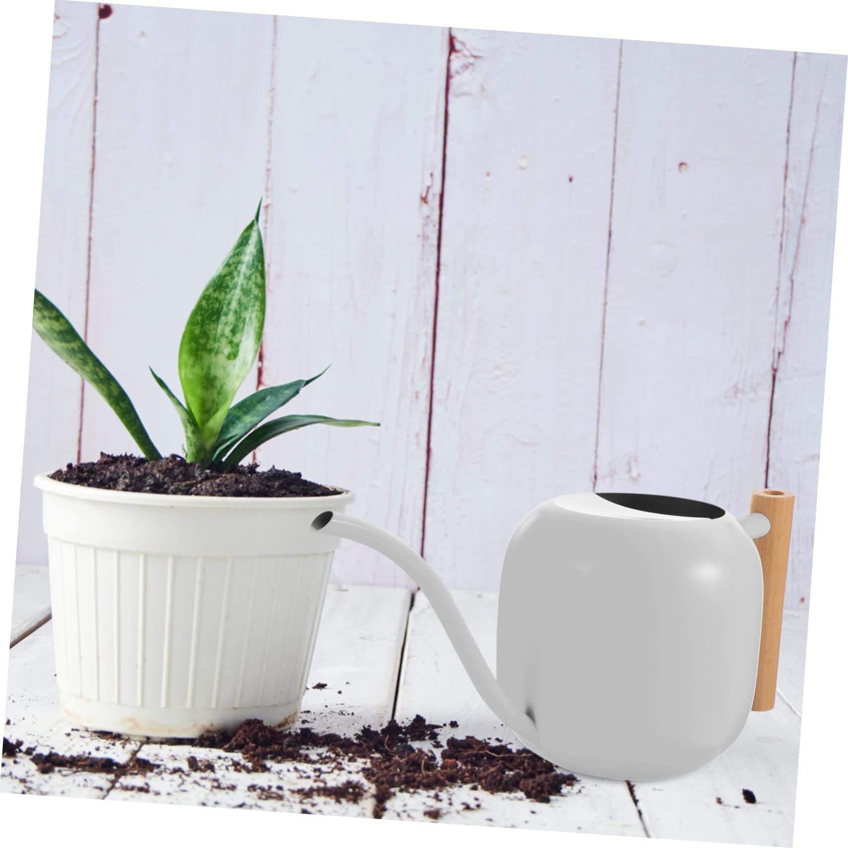 Gießkanne aus Edelstahl 1200ml mit Holzgriff, Weiß, Vintage | Pflanzen im Innenbereich und Garten, Ergonomischer Griff, Leicht Nachzufüllen