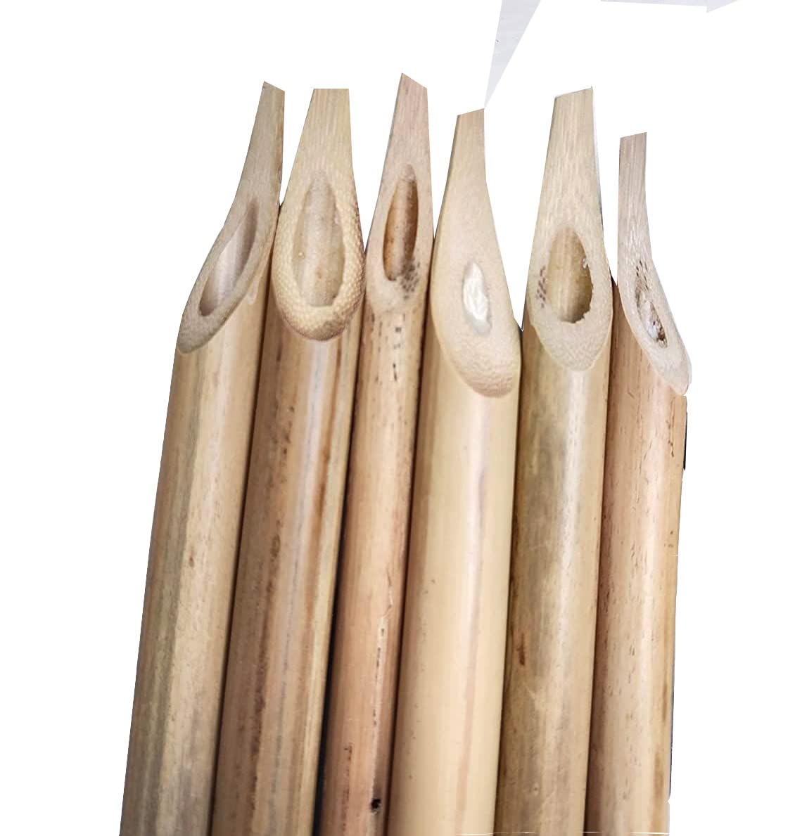 Qalam (Arabian Reed Arabic Bamboo Calligraphy Pen(6Pen)|Black
