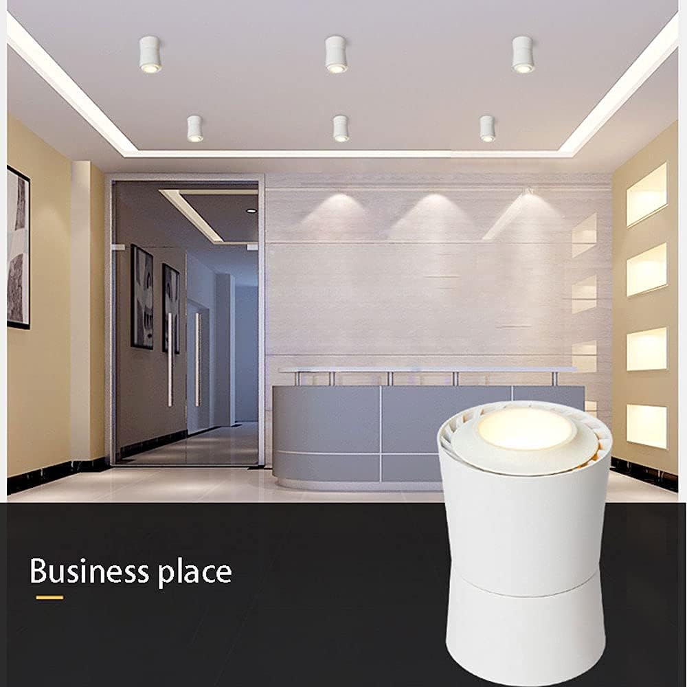 Spotlights,Led Directional Spotlight Indoor Ceiling Light Fixture, 2 Pcs Indoor Surface Mounted Accent Spot Lighting, Gallery Picture Corridor Living Room Ceiling Spotlig,White-6000k