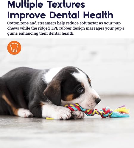 Vista 5 de Paquete de mini artículos dentales masticables de Petstages Masticar dental 3 Pk