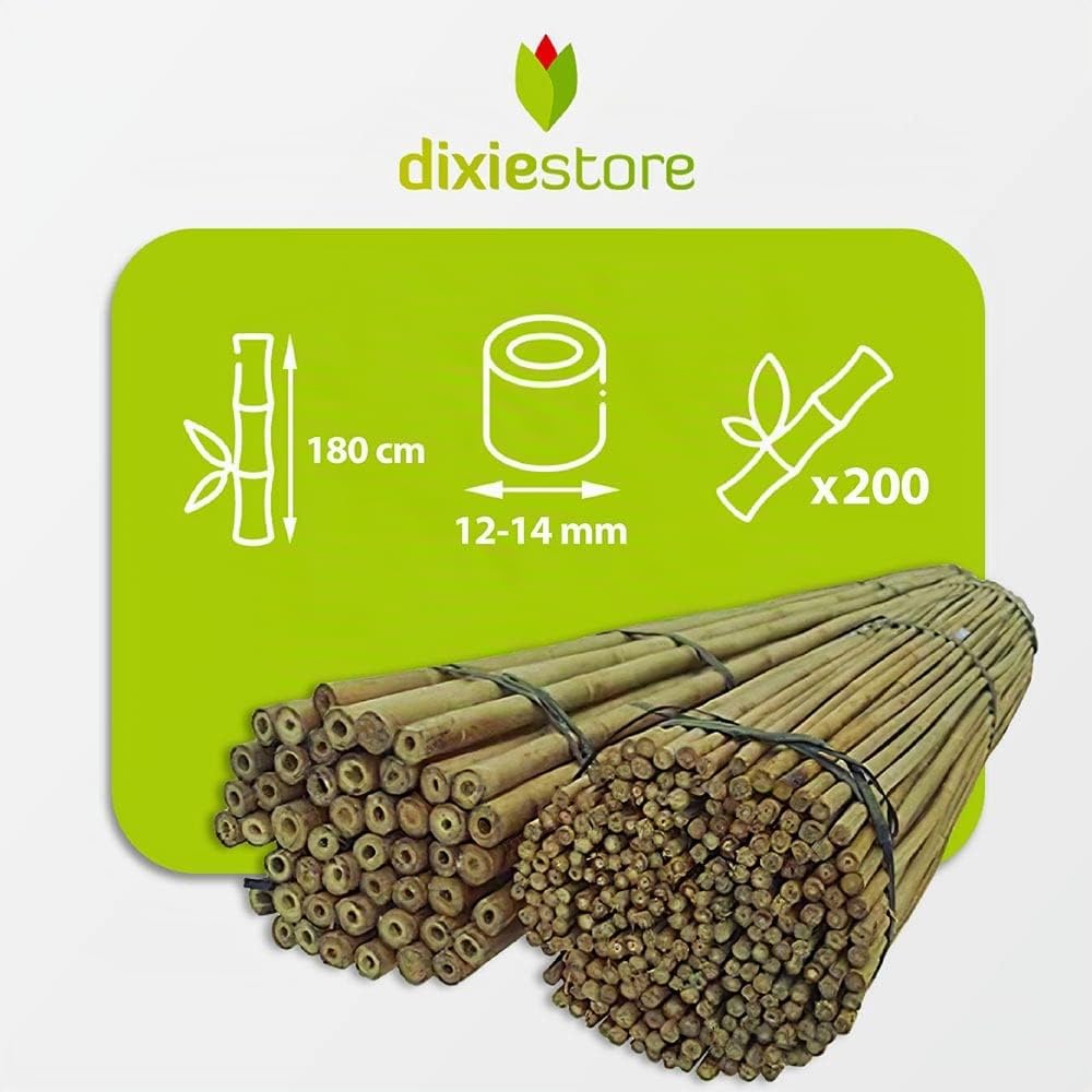 Dixiestore bastoncini di bambù | Pali di bambù Set di supporti per fiori | impieghi gravosi 180 cm x 12-14 mm Confezione da 200 supporti per piante di largo utilizzo Colore naturale