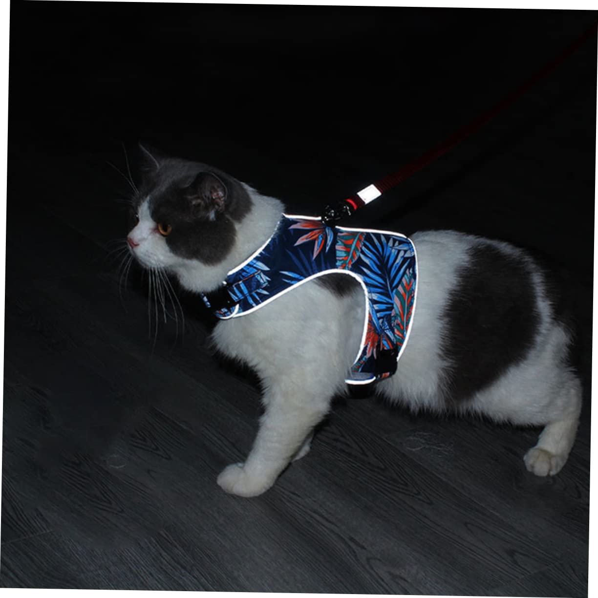 Beavorty 2 Juegos De Malla Transpirable para Gatos Y Gatitos Chaleco con Correa Juego De Paseo Seguro Y Cómodo para Gatos.