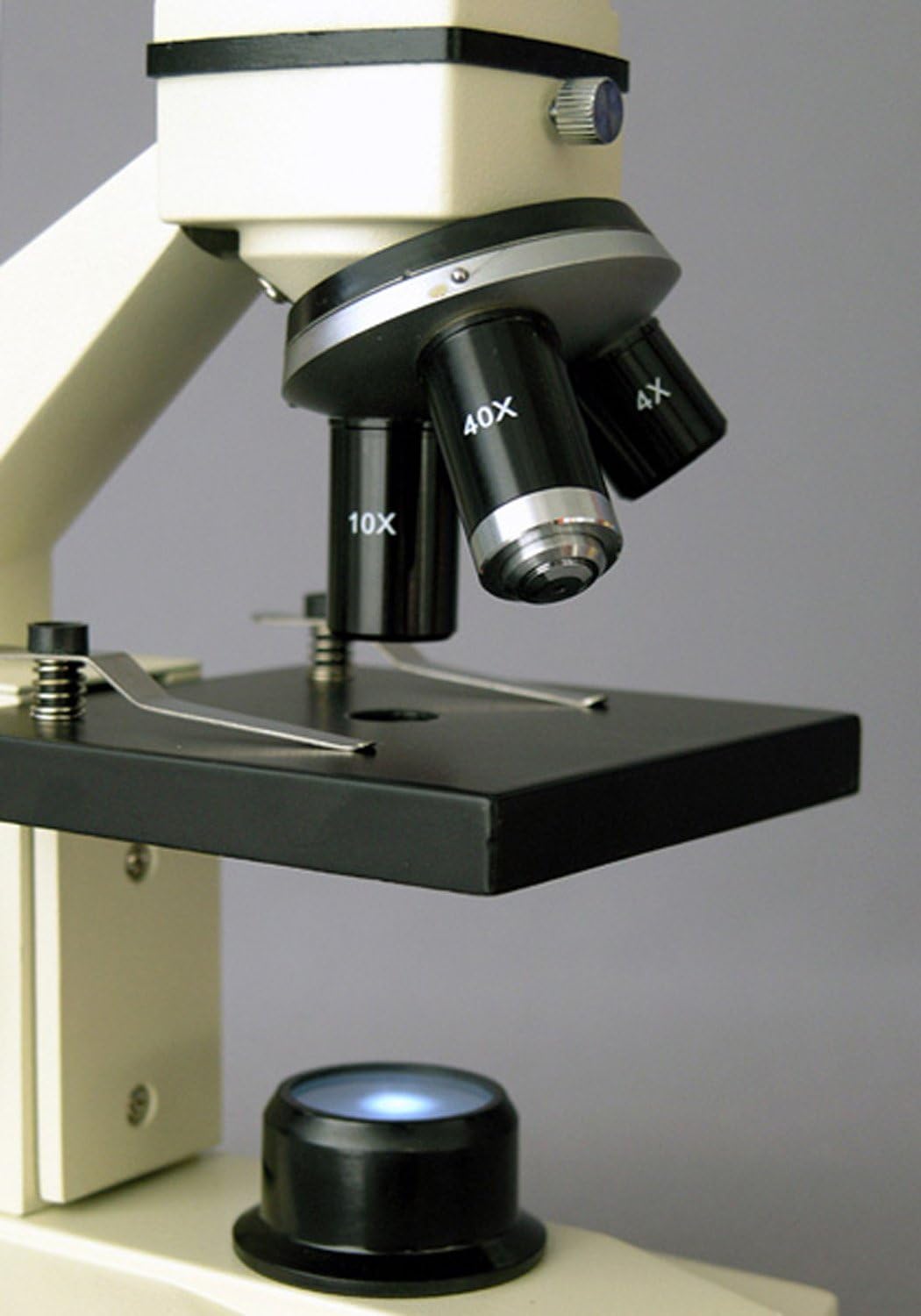 Buy AmScope M100APB10 Compound Monocular Microscope, WF10x and WF16x