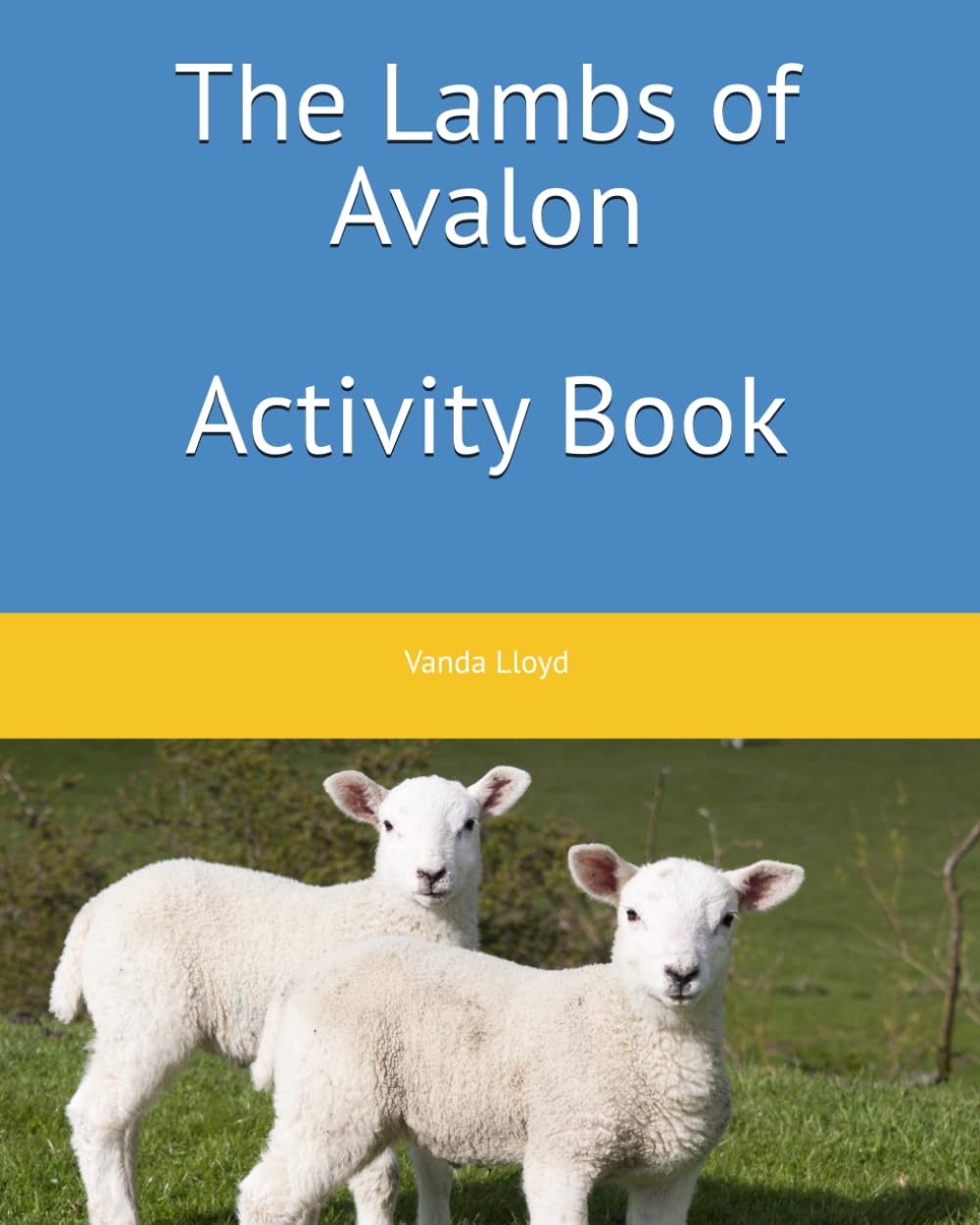 The Lambs of Avalon Activity Book