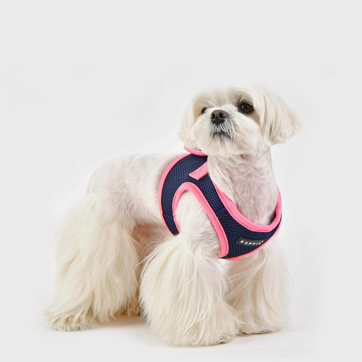 Puppia Soft Harness II - Harnais gilet souple pour chiens de petite et moyenne taille - très confortable et facile à enfiler