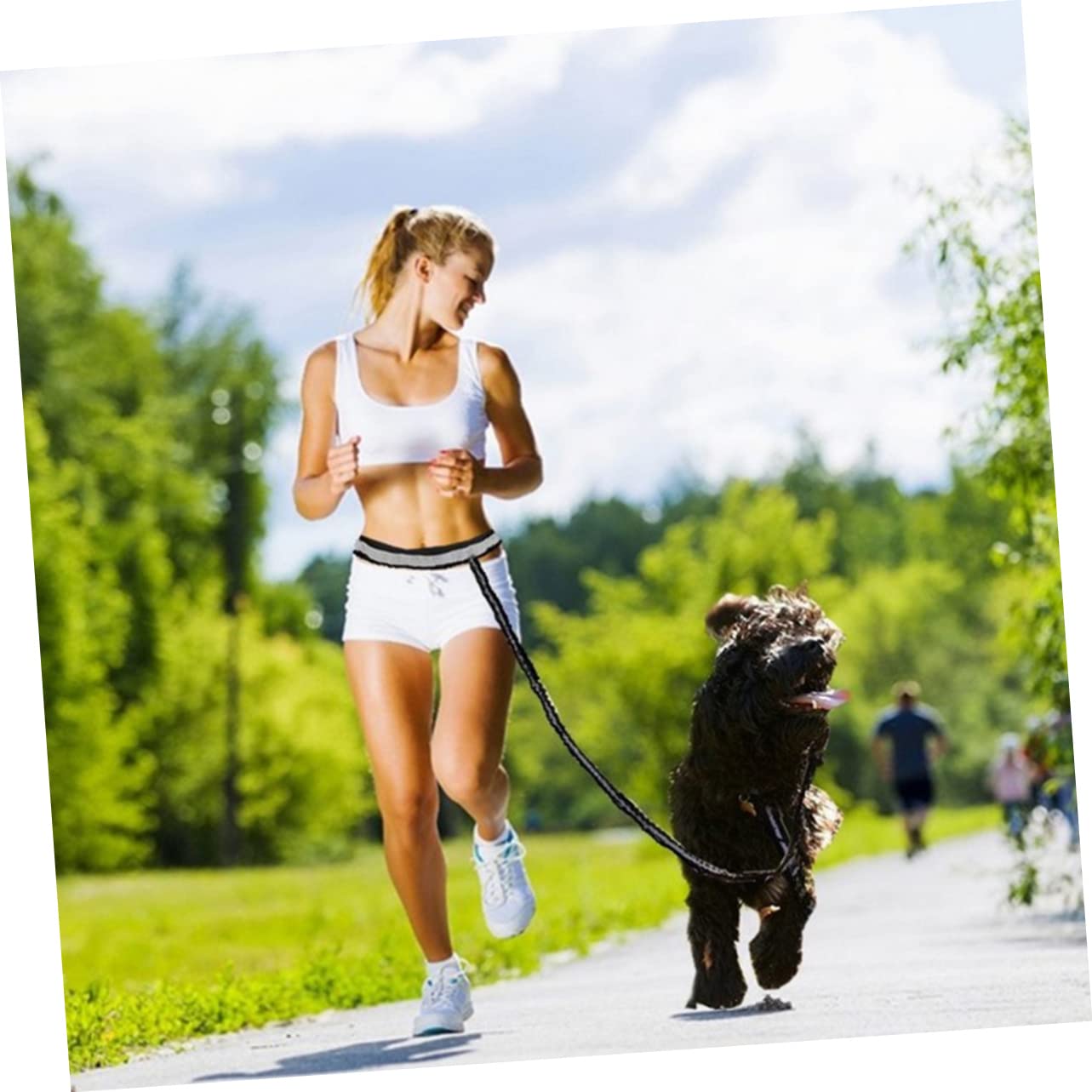 Didiseaon 5pezzi Guinzaglio Per Cani Corda Riflettente Di Guinzaglio in Nylon Per Passeggiate Quotidiane Per Jogging Campeggio e Escursionismo