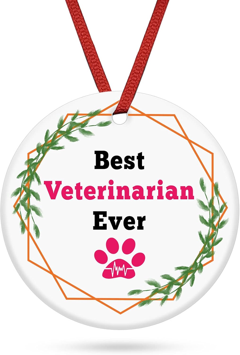 Thank You Gift for Veterinarian Christmas Keepsake Sign