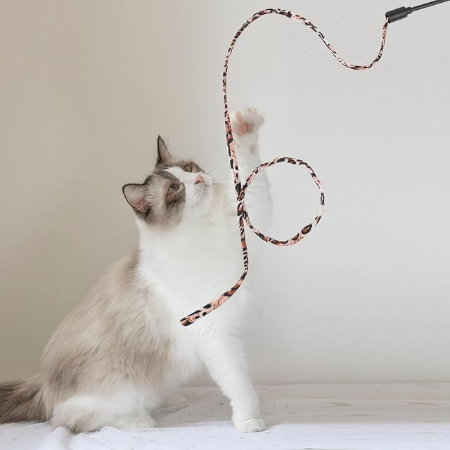 Foto 6 de 7 de cobee Juguetes para varita de gato, juguetes interactivos para gatos