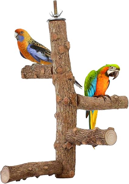 bird stands for parrots